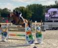 Groom, Showjumping - Other contract Other - Val-d'Oise France