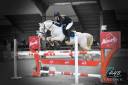 Cremell'aux Lays - French Saddle Pony 2012 by Nildungrey de Liberty