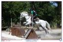 Gelding French Saddle Pony For sale 2015 Grey