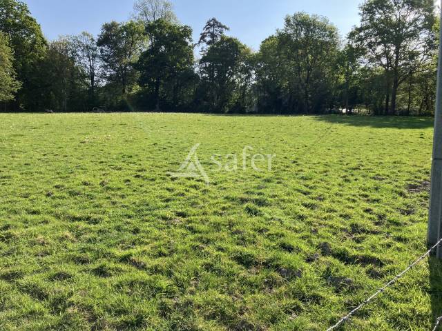 Equestrian property  Mayenne