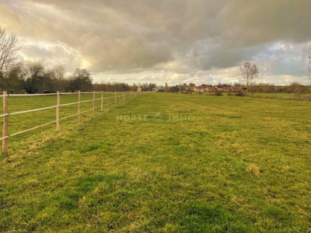 Equestrian property  Yvelines