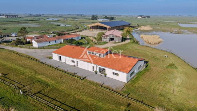 Equestrian property  Vend&eacute;e