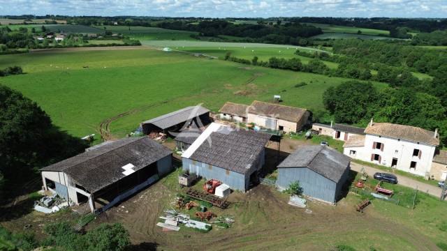 Sheep farm  Deux-S&egrave;vres
