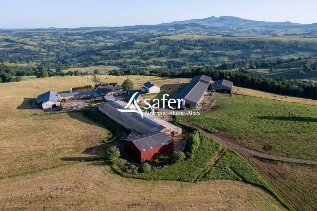 Dairy farm  Cantal