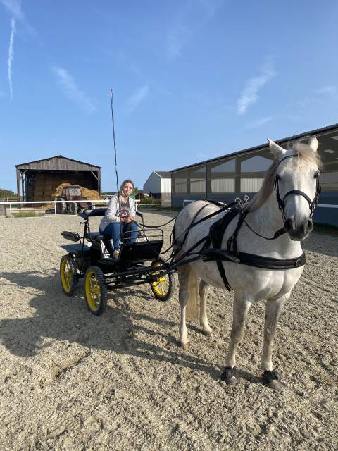 Carriage - Cal&egrave;che - Other brand - Marathon 
