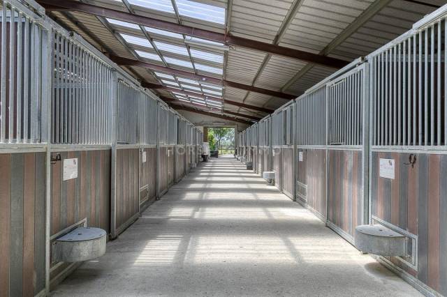 Equestrian property  Hautes-Pyr&eacute;n&eacute;es