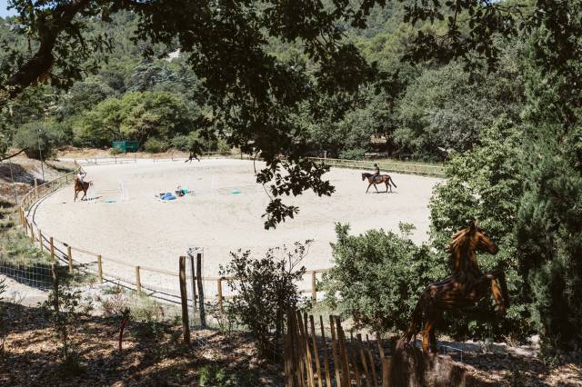Luxurious equestrian property  Bouches-du-Rh&ocirc;ne