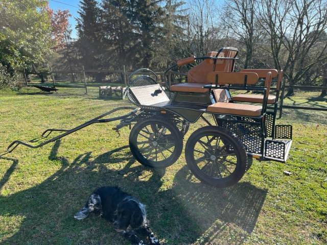 Carriage - Marathon for leisure - Other brand - Patrick Rebulard - Marathon/Loisir 