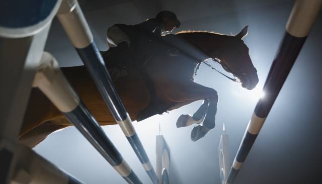 Riding school  Bas-Rhin