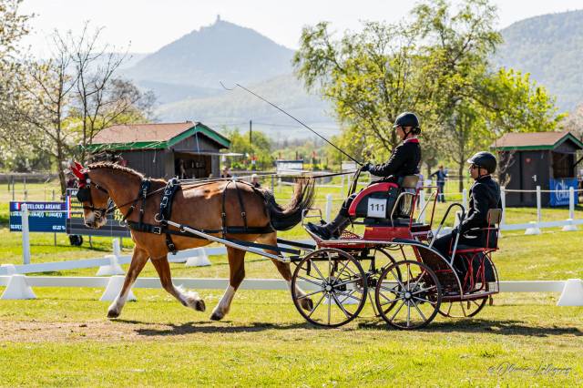 Carriage - Marathon for competition  Polonais competition  