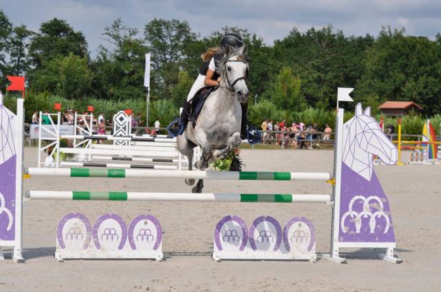Mare Other Pony Breed For sale 2013 Bay