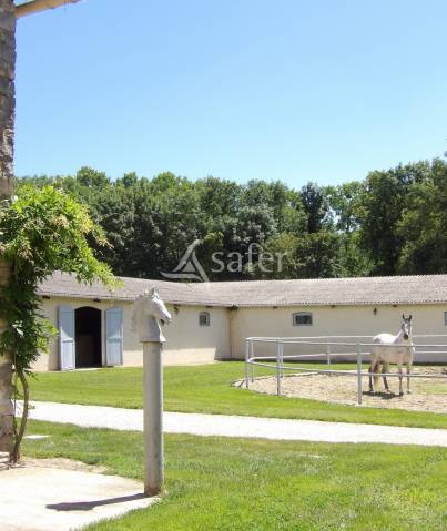 Equestrian property  Essonne