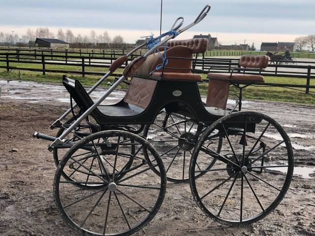 Carriage - Cal&egrave;che  Rombach 