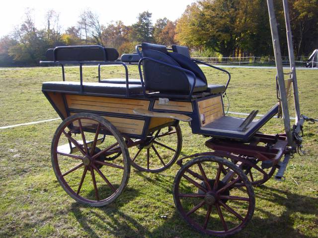 Carriage - Cal&egrave;che   
