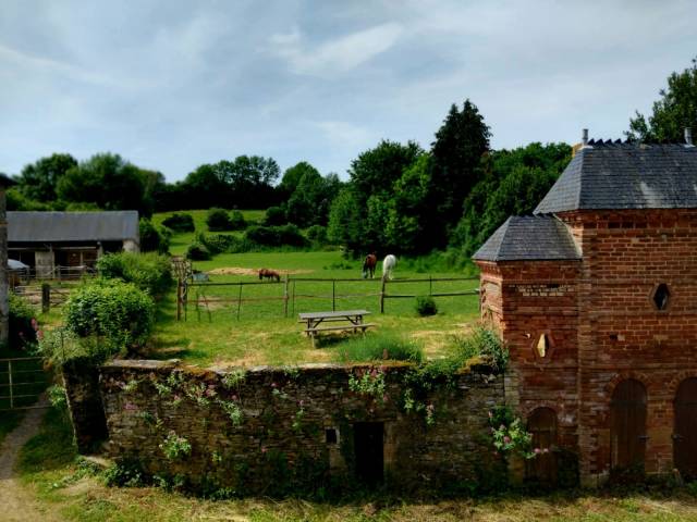 Livery yard  Mayenne