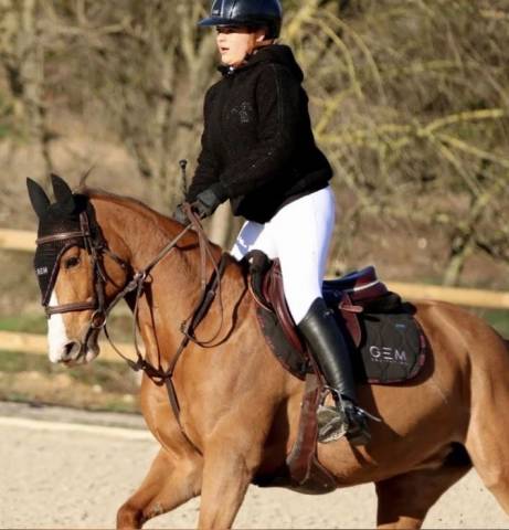 Mare French Saddle Pony For sale 2018 Chesnut