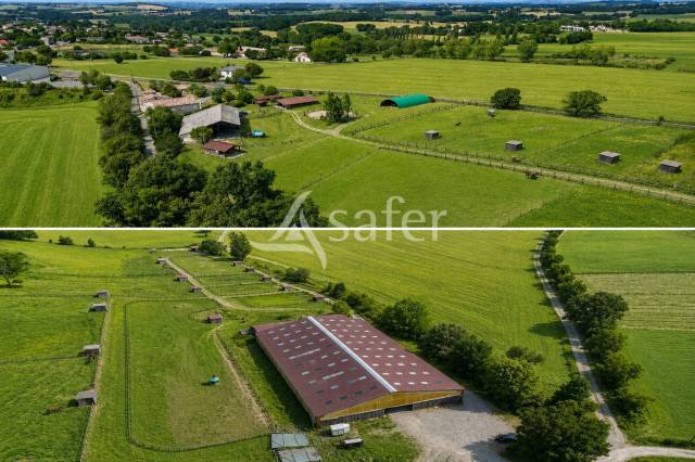 Equestrian property  tarn