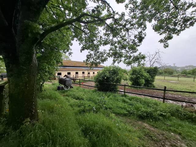 Livery yard  Sarthe