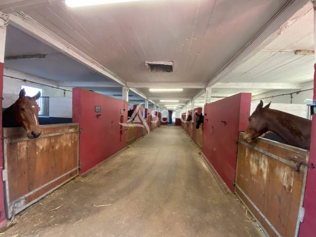 Equestrian property  Calvados