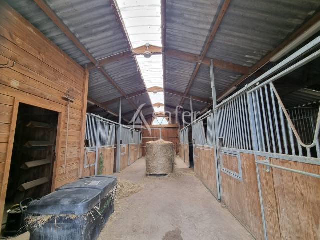 Other country property  Lot