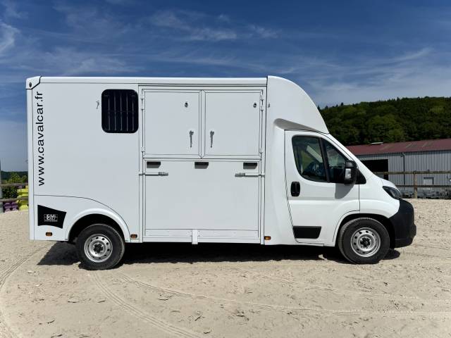 Horsebox HGV Cavalcar Stallium 3 2025 New