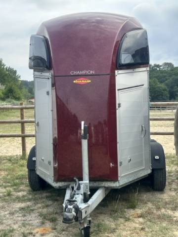 Horse trailer Bockmann Champion R 2 Stalls 2019 Used