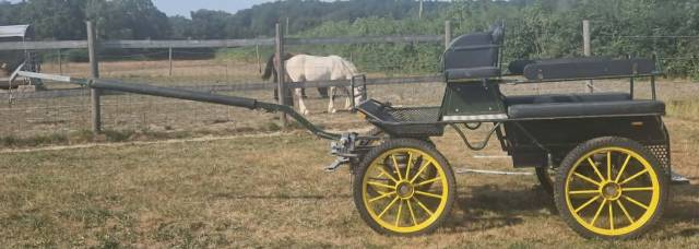 Carriage - Marathon for leisure - Other brand - Marathon loisir 