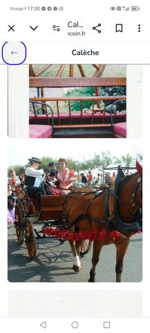 Carriage - Brake - Other brand - Break  