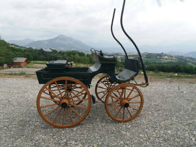 Carriage - Other carriage   