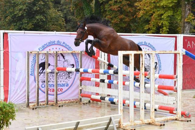 Entire Connemara For sale 2022 Bay