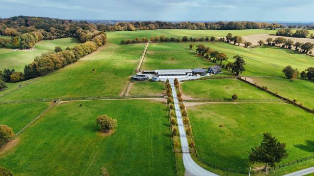 Stud farm  Mayenne