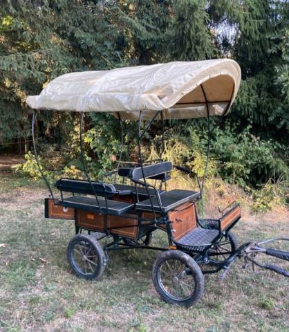 Carriage - Wagonnette Dominiak  
