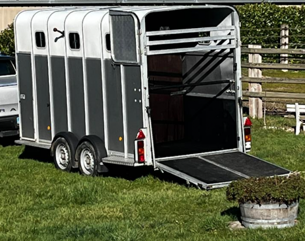 Horse trailer Ifor Williams HB510XL Jumbo 3 Stalls 2017 Used