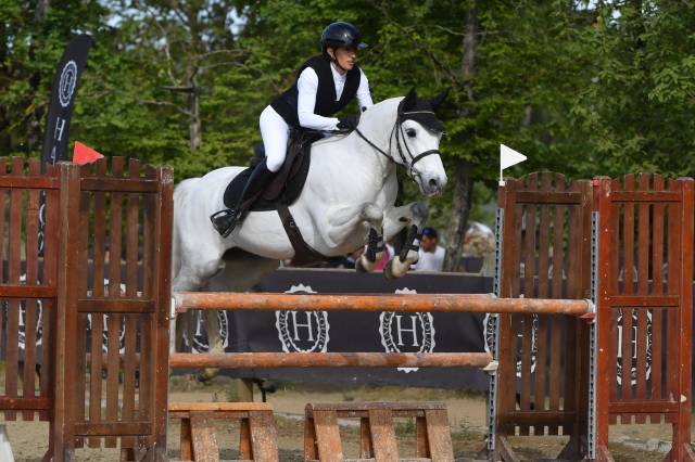 Gelding Connemara For sale 2017 Grey