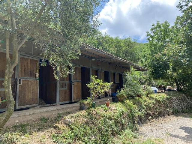 Equestrian property  Alpes-Maritimes