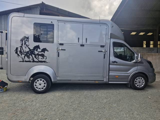 Horsebox HGV Ford FORD 2023 Used
