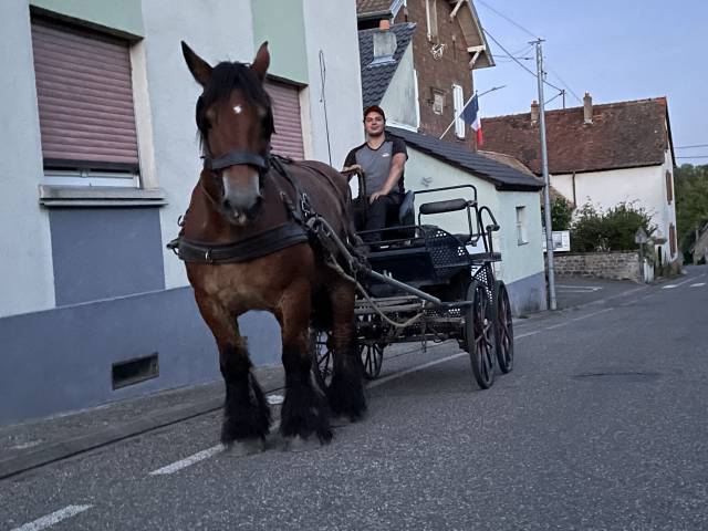 Carriage - Other carriage - Other brand -  