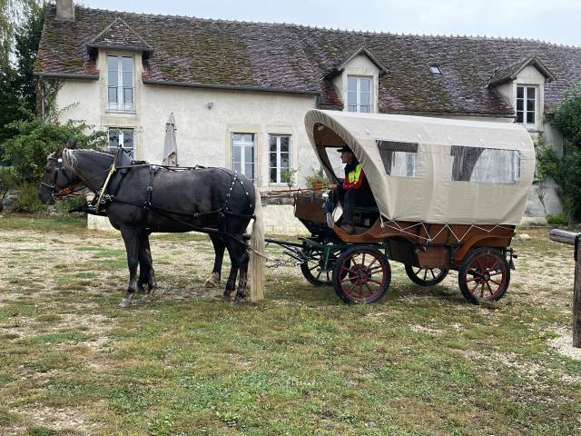 Carriage - Chariot   