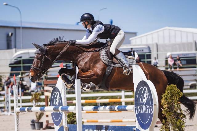 Winning gelding for children/ junior classes