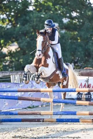 Mare Origin Recorded For sale 2022 Coloured