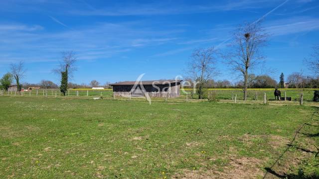 Equestrian property  tarn