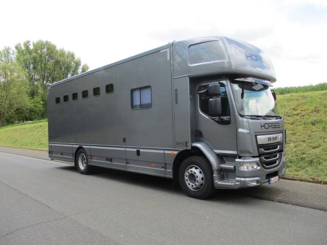 Horsebox NON-HGV Daf DAF LF 310 EHC 2026 New
