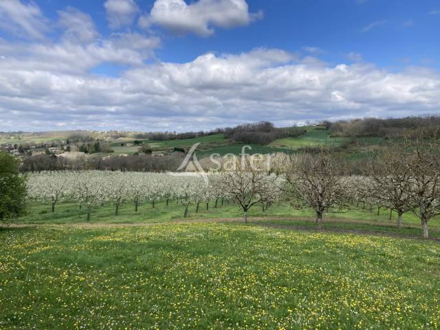 Other agricultural property  Lot-et-Garonne