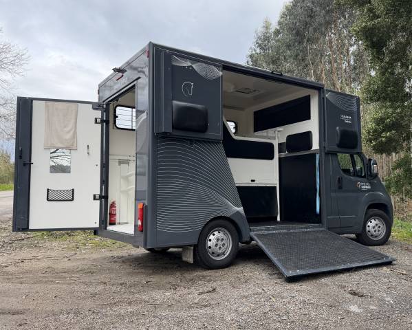 Horsebox HGV Citroen Junoer 2018 Used