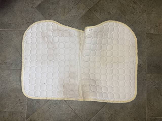 Equiline Crystal Jumping Saddle Pad & Fly Bonnet Set