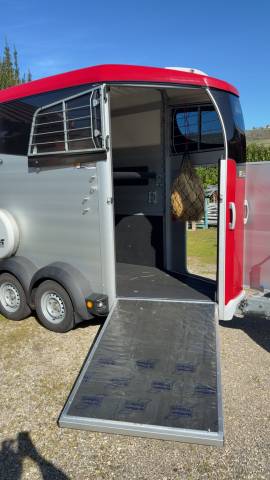 Horse trailer Ifor Williams HBX 403 1,5 Stalls 2024 Used