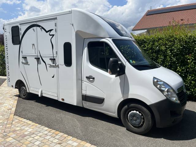 Horsebox HGV Opel Movano - Cavalcar 2020 Used