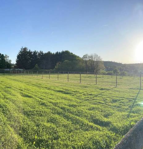 Equestrian property  Essonne