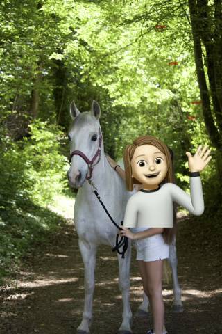 Mare French Saddle Pony For sale 2017 Grey