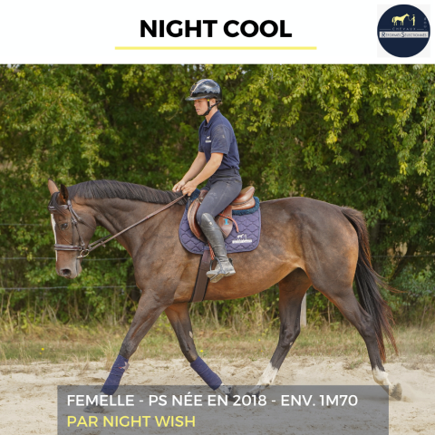 Mare Thoroughbred For sale 2018 Bay
